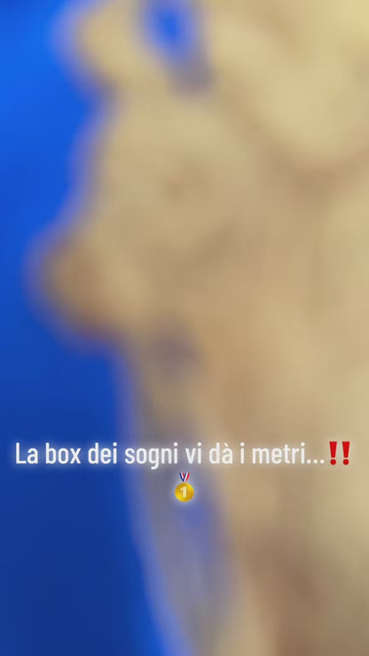Box firmato extra top brand